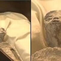 Striking Resemblance Between the Iranian Princess Mummy and the Mexican 'Alien' Mummy (Photos)