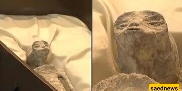 Striking Resemblance Between the Iranian Princess Mummy and the Mexican 'Alien' Mummy (Photos)