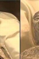 Striking Resemblance Between the Iranian Princess Mummy and the Mexican 'Alien' Mummy (Photos)