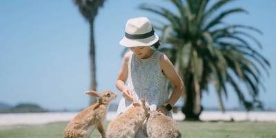Japan’s Rabbit Island: Everything You Need to Know About Okunoshima