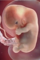 Advanced Maternal Age and Smoking: Hidden Factors Behind Fetal Growth Restriction