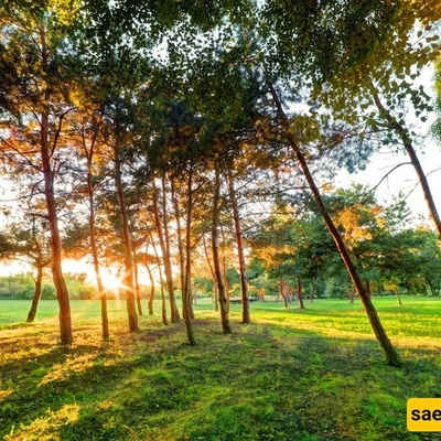 How To Enjoy Nature Without Causing Harm