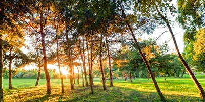 How To Enjoy Nature Without Causing Harm
