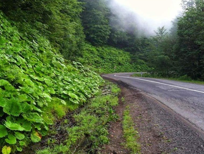 Siahkal to Deylaman road