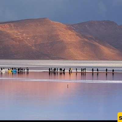 Life Returns to Maharloo Lake After Reviving Rains in Southern Iran