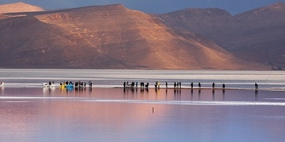 Life Returns to Maharloo Lake After Reviving Rains in Southern Iran