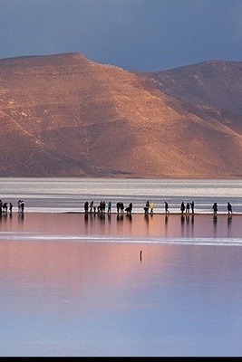 Life Returns to Maharloo Lake After Reviving Rains in Southern Iran