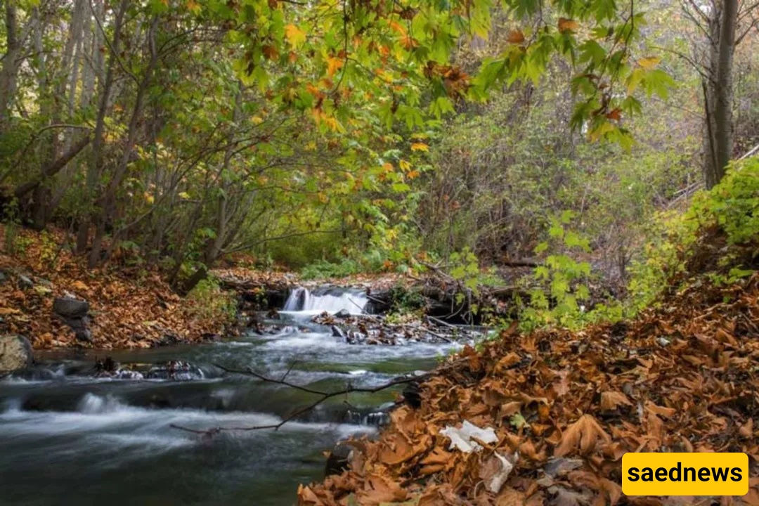 Torqabeh (Torqabeh-Shandiz), Razavi Khorasan — Torqabeh: Mashhad’s Mountain Retreats, Villages and Dining Guide