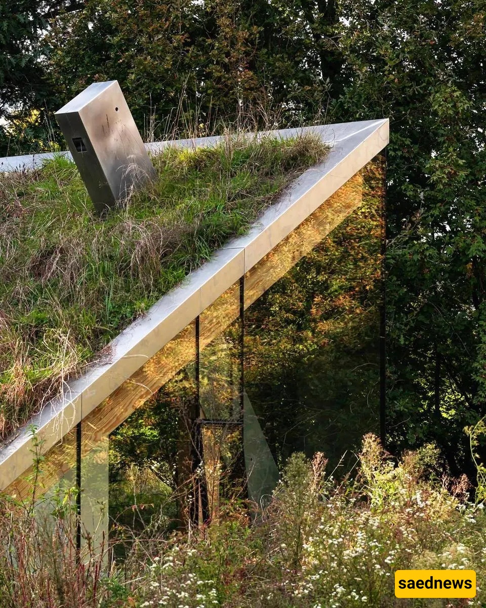 A Stunning Look at a Dream Home Whose Roof Hosts Birds and Bats — The View of Rain and Tea by the Window Is Unmatched (Photos)
