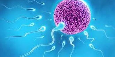 Reproduction Without Eggs, Uterus, or Sperm!