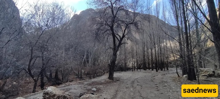 Shiraz Nature