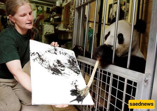 Artist Panda