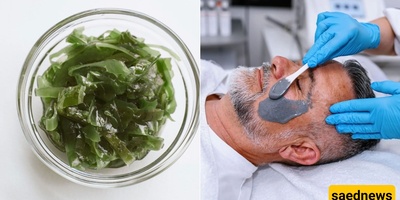 Seaweed: Nature’s Secret to Youthful, Radiant Skin