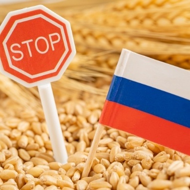 Russia Takes on the US Dollar Using Wheat as a Weapon