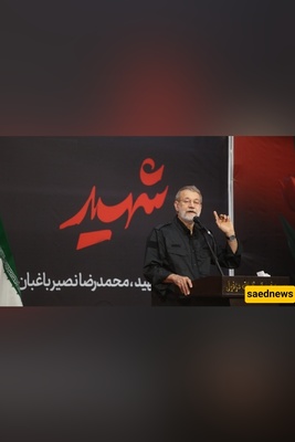 Israel’s Strike on Iran Came Up Empty, Adviser to the Supreme Leader Warns