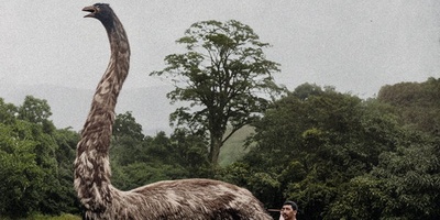 Return of an Extinct Giant Bird to Life
