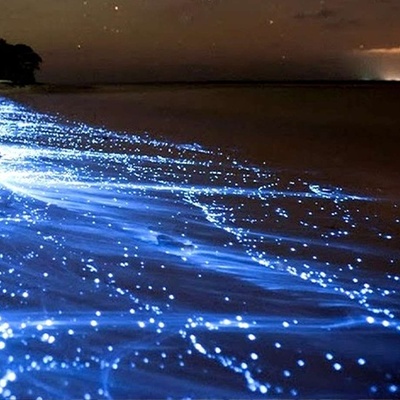 A Terrible Disaster Tourists Brought Upon Hormuz’s Silver Beach + Video