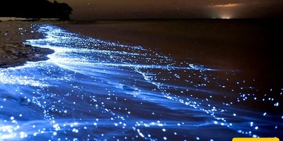 A Terrible Disaster Tourists Brought Upon Hormuz’s Silver Beach + Video