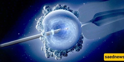 Everything You Need to Know About IVF for Infertility Treatment
