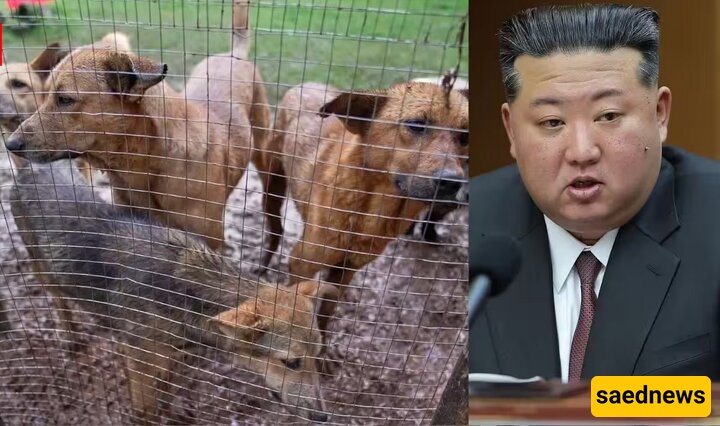 North Korea