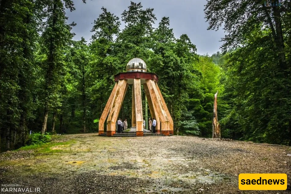 dalekhani forest