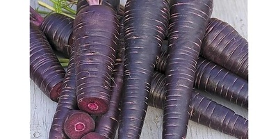 Remarkable Benefits of Black Carrots That Nutritionists Rarely Mention