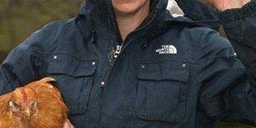 The World’s Most Expensive and Golden Chicken: Laying Real Gold Eggs Worth £480 + Photos