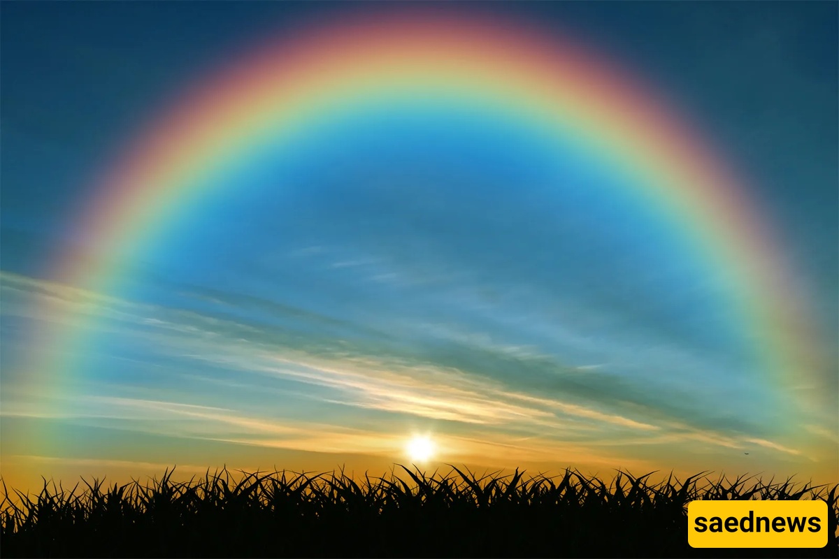 Rainbow