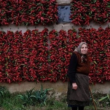 The Village That Is the World’s Pepper King