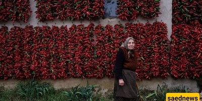 The Village That Is the World’s Pepper King