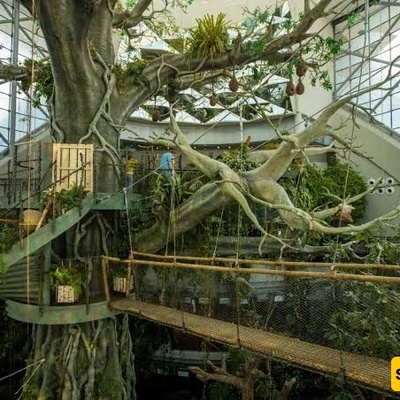 Dubai’s Green Planet: Exploring One of the World’s Largest and Most Beautiful Indoor Rainforests