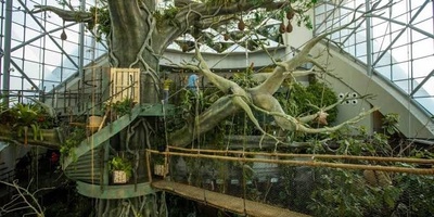 Dubai’s Green Planet: Exploring One of the World’s Largest and Most Beautiful Indoor Rainforests