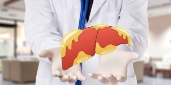 Treat Fatty Liver with Chicory and Shahtere Herbal Distillates + How to Use Them and Important Warnings