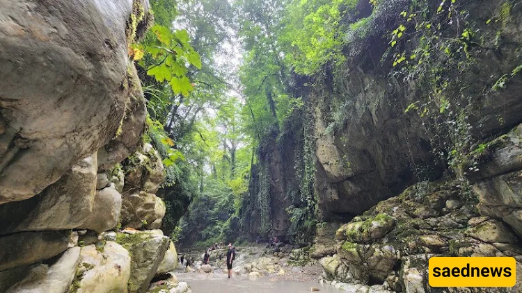 Tangeh Dar Nowshahr