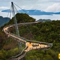 Creek Suspension Bridge: Everything You Need to Know About This Exciting Bridge