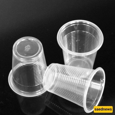 A Creative Twist: Make a Stylish, Beautiful Vase Using Just a Disposable Cup + Video Tutorial