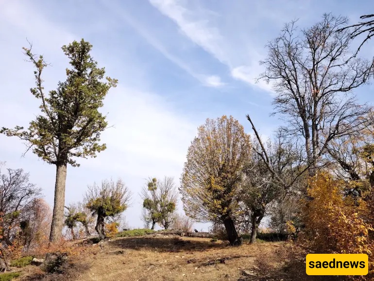Drazno village