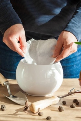 Coffee Filters: The Hidden Hero of Houseplants for Retaining Soil Moisture and Improving Drainage