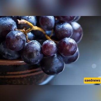 Is Grape Jam Haram? What Iran’s Senior Marājiʿ Say About Boiled Grapes