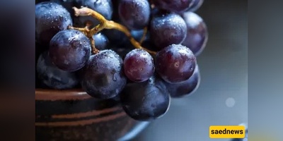Is Grape Jam Haram? What Iran’s Senior Marājiʿ Say About Boiled Grapes