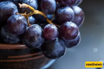 Is Grape Jam Haram? What Iran’s Senior Marājiʿ Say About Boiled Grapes