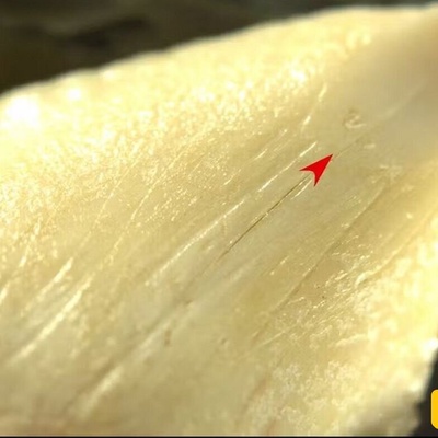 7,000-Year-Old Weapons Made from Shark Teeth Discovered