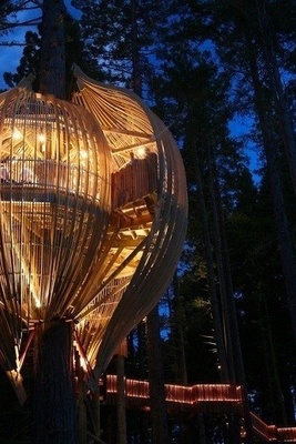 The World's Most Unusual Homes You Have to See