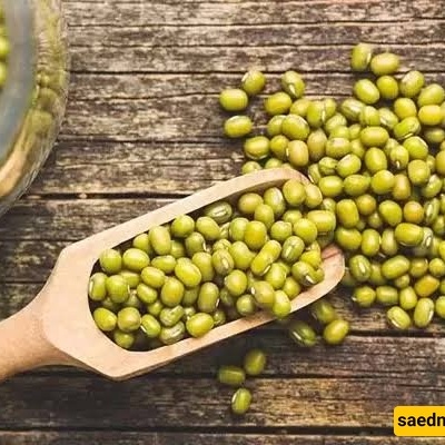 What Are the Temperament and Properties of Mung Beans in Traditional Medicine?