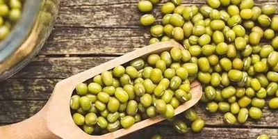 What Are the Temperament and Properties of Mung Beans in Traditional Medicine?