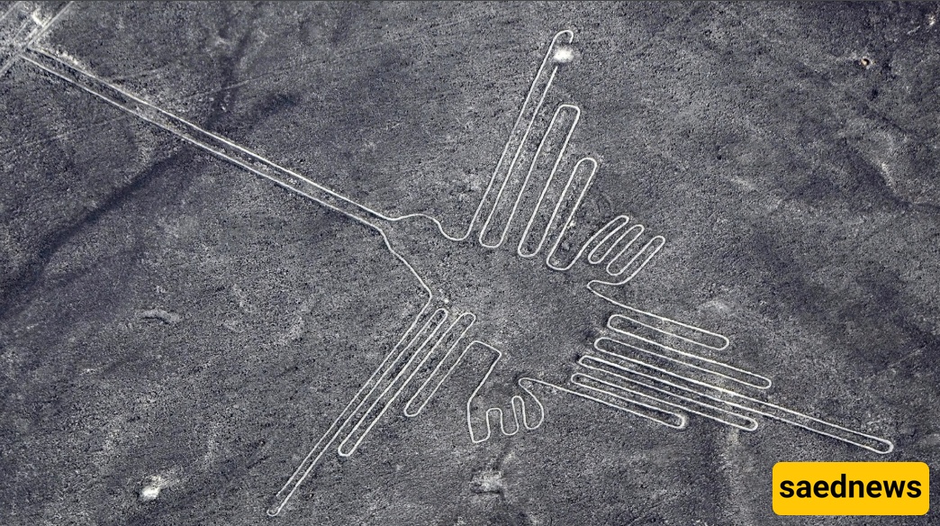 The Nazca Lines