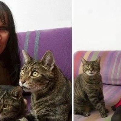 A Woman Marries Two Cats!