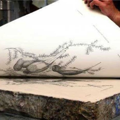 The History of Lithographic Printing and Its Beginnings in Iran