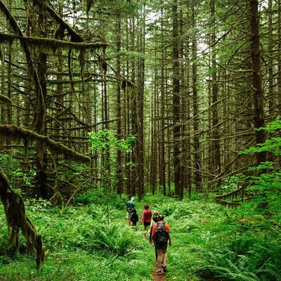 7 Irreparable Mistakes Made by Beginner Nature Travelers