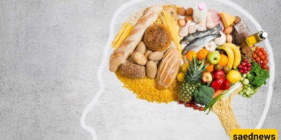 Foods That Help Improve Mental Focus
